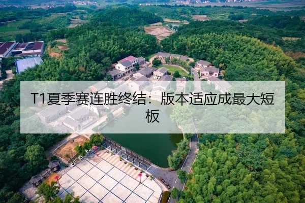 T1夏季赛连胜终结：版本适应成最大短板
